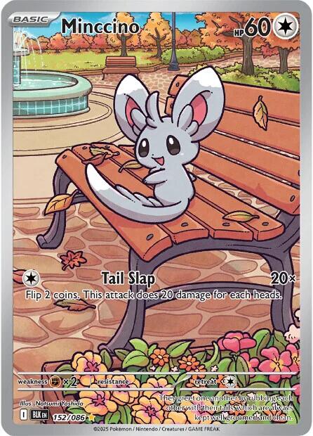 Minccino (152/086) [Scarlet & Violet: Black Bolt]
