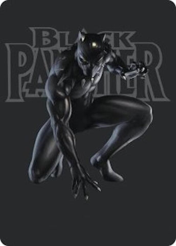 Image for Black Panther, Hope Enduring Art Card (27) (AAMSH) - Magic: The Gathering
